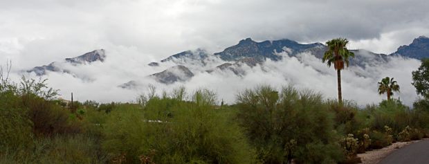 Monsoon 2013